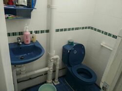 Blk 433 Clementi Avenue 3 (Clementi), HDB 4 Rooms #518912031